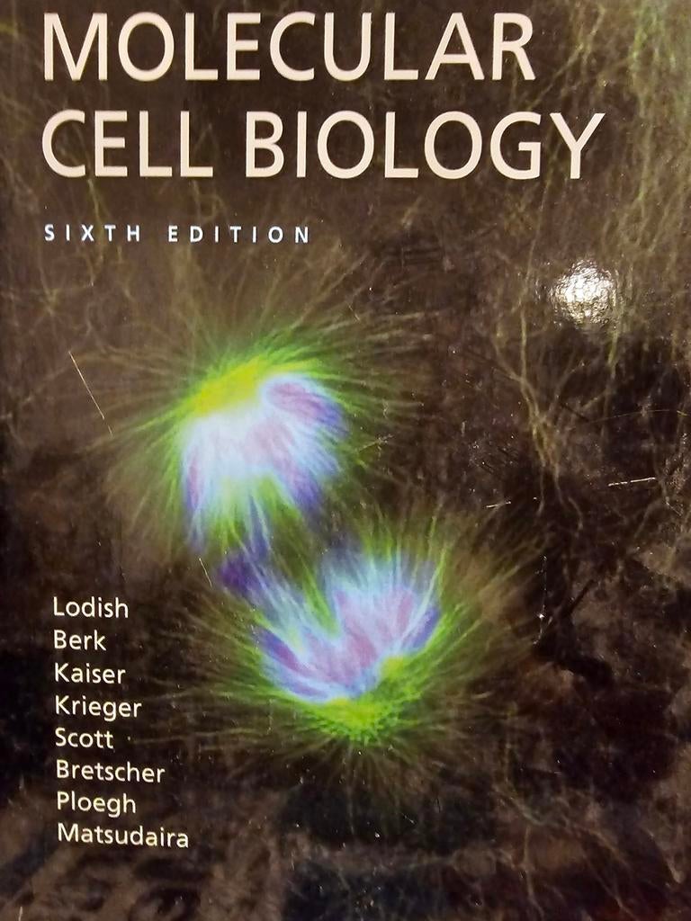 Cursus master geneeskunde, Ophalen, Zo goed als nieuw