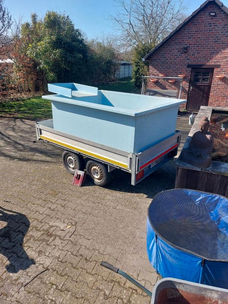 Grote quarantainebak, Dieren en Toebehoren, Vissen | Vijvervissen