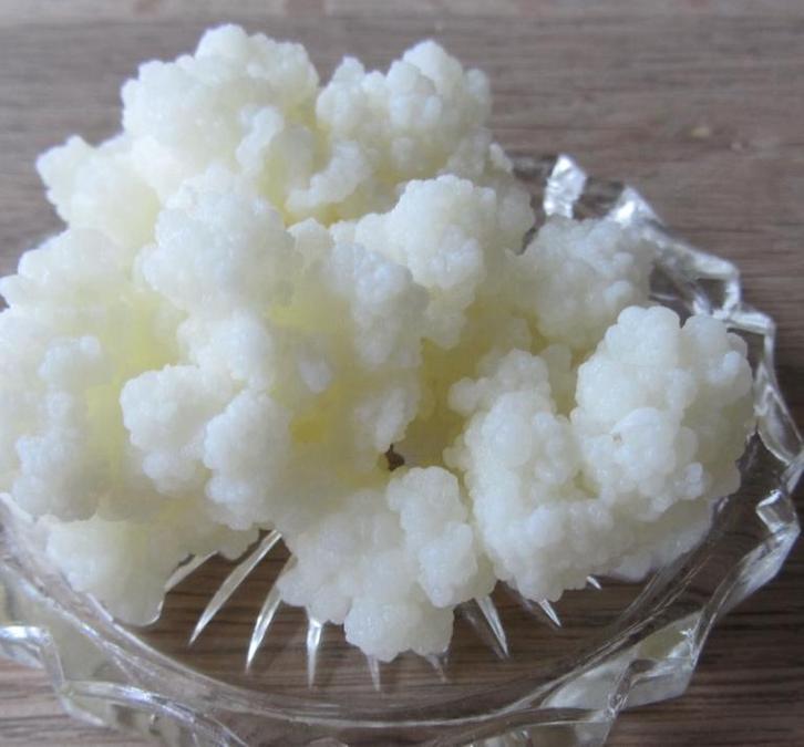 Biologische melkkefir bloemetjes, Diversen, Levensmiddelen, Ophalen