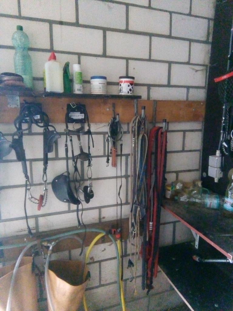 HOOFDSTELLEN, Ophalen, Gebruikt, Recreatie