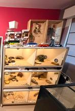 3 terrarium bois gecko leopard, Dieren en Toebehoren, Ophalen, Zo goed als nieuw