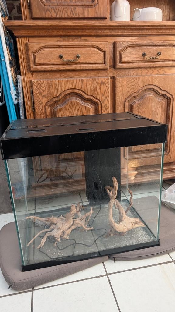 Aquarium Ciano, Enlèvement, Chauffage