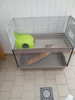 Cage pour rongeurs., Enlèvement, Cage