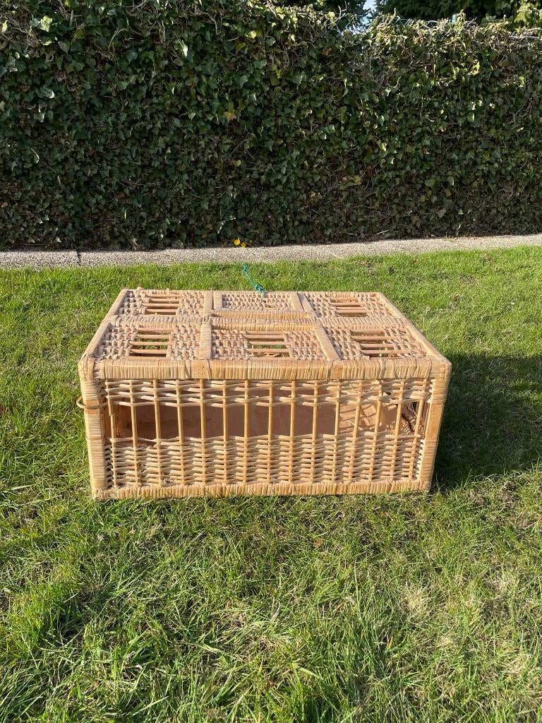 Duivenkorf, Dieren en Toebehoren