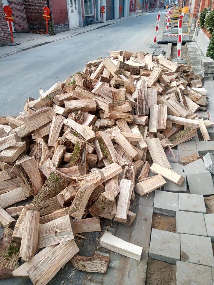 geklieft brandhout, Tuin en Terras, Brandhout, Stammen, Verzenden