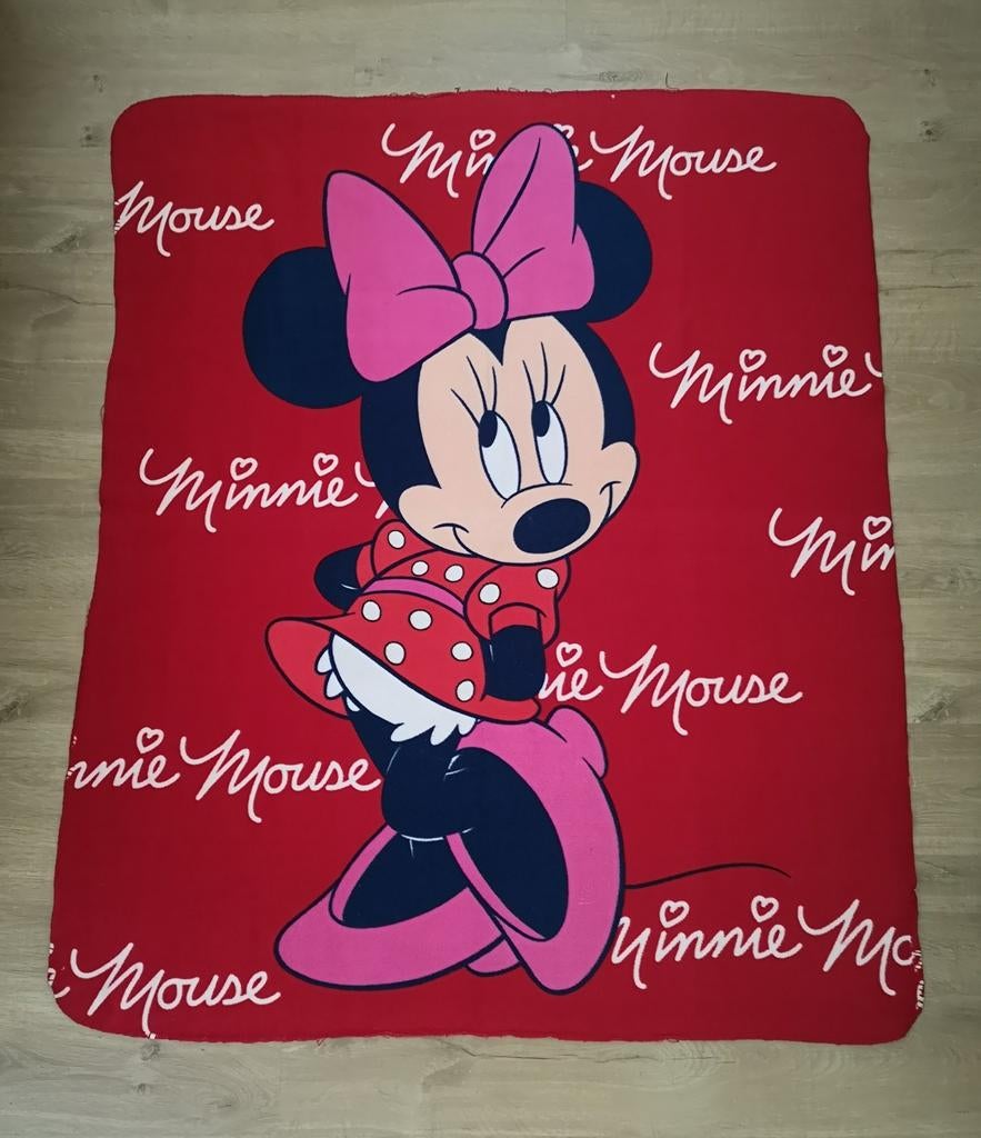 2 plaids Minnie Mouse, Enlèvement