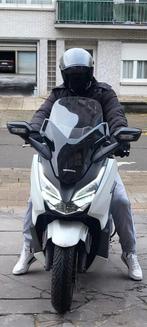 Honda forza 125cc, Scooter, Particulier, 11 kW of minder