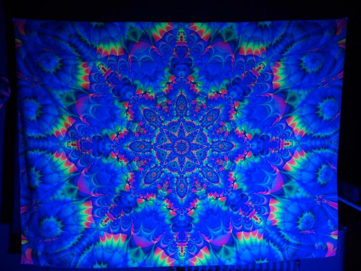 te huur Psychedelic uv deco/uv light, Dieren en Toebehoren, Vissen | Aquariumvissen