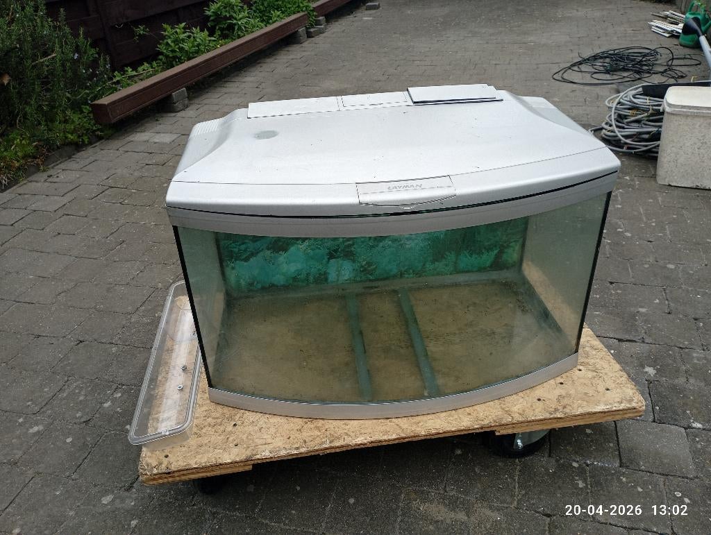 Cayman aquarium, Animaux & Accessoires, Aquarium vide, Enlèvement, Utilisé, Couvercle inclus