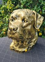 Polyester honden koppen, bruikbaar als urn ook, Ophalen, Nieuw, Kunststof, Dierenbeeld