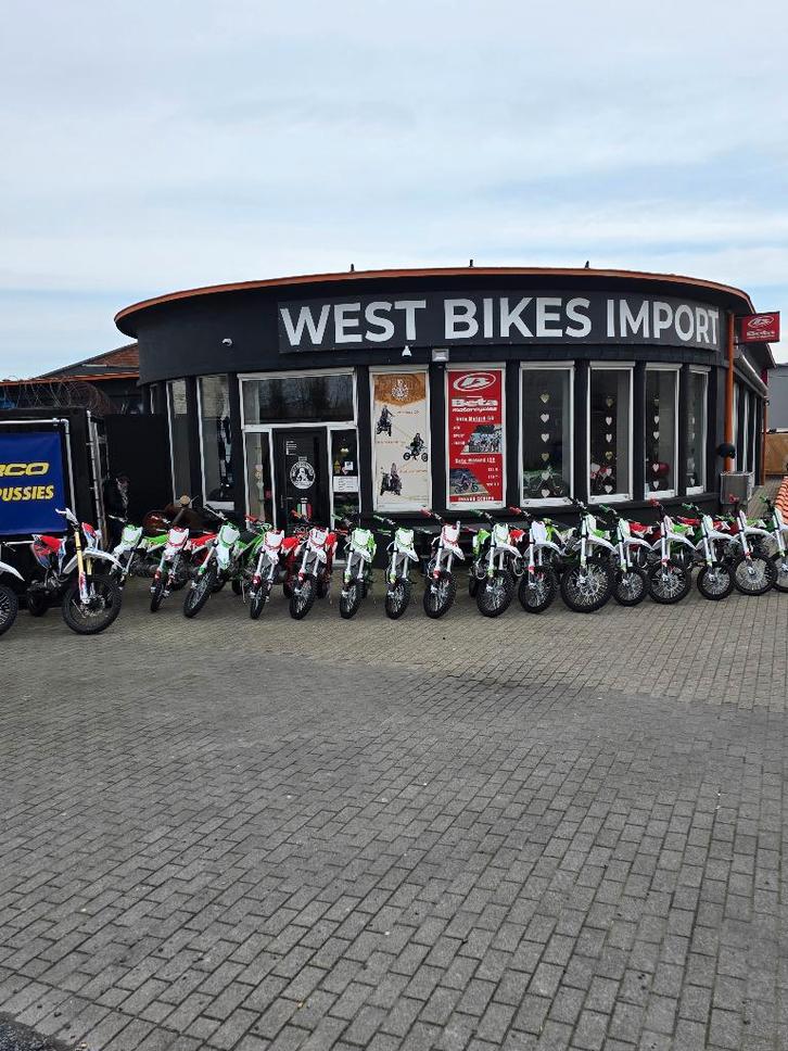 Apollo Thunder Pitbike | 250 cc | Groen | Beste Prijs, Fietsen en Brommers, Brommers | Crossbrommers, Nieuw, Overige merken, Ophalen of Verzenden