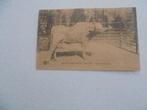 antwerpen de zoo -buffel, Verzamelen, Ophalen of Verzenden, 1920 tot 1940, Ongelopen, Antwerpen