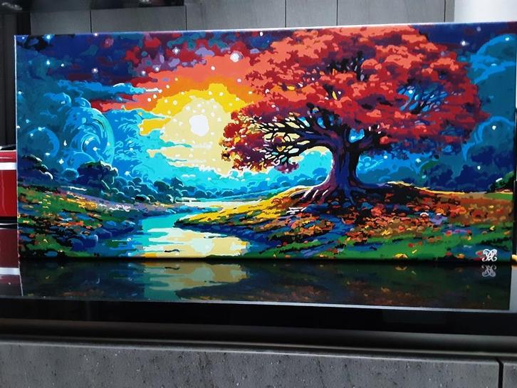 Afgewerkt schilderij Paint By Num. “Blinded by the Light”, Antiek en Kunst, Kunst | Schilderijen | Klassiek, Ophalen