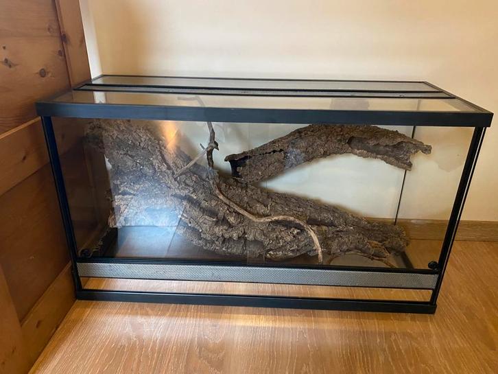Terrarium de 80x30x45cm, Dieren en Toebehoren, Reptielen en Amfibieën | Toebehoren, Zo goed als nieuw, Terrarium of Paludarium