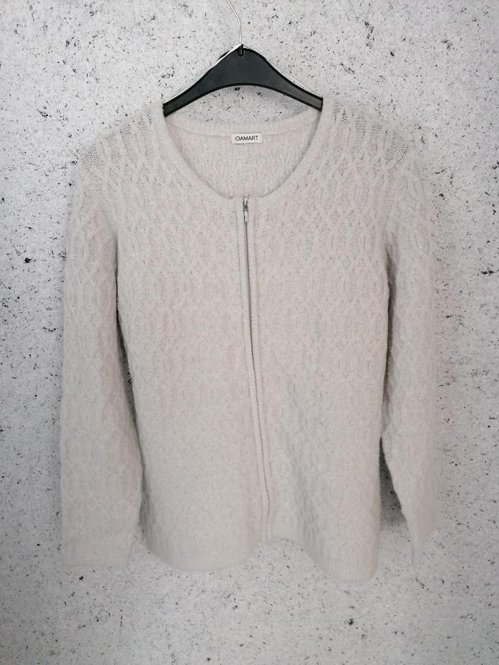 Lichtgrijze trui met rits, Kleding | Dames, Truien en Vesten, Nieuw, Maat 46/48 (XL) of groter, Grijs, Ophalen