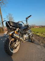 Limited edition Dax Zhenhua 50cc, Fietsen en Brommers, Ophalen, Gebruikt, Overige modellen, Klasse B (45 km/u)