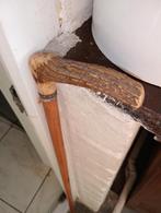 Canne en jonc et bois de cerf