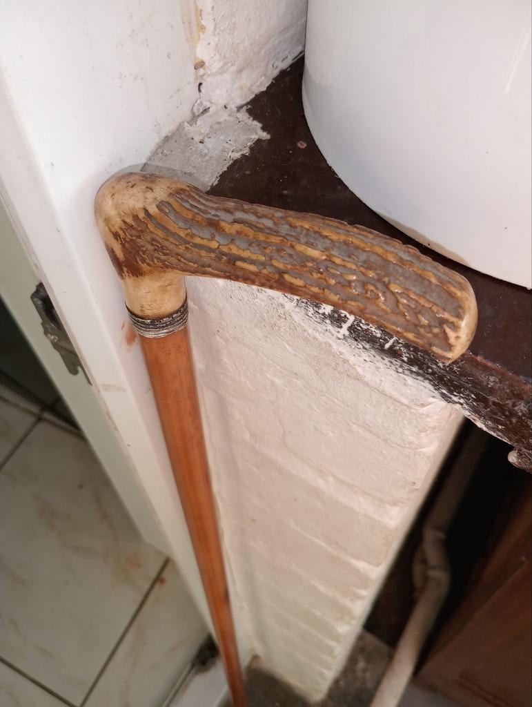 Canne en jonc et bois de cerf, Divers, Bâtons de marche