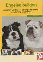 Engelse Bulldog, Over dieren, Ophalen, Honden