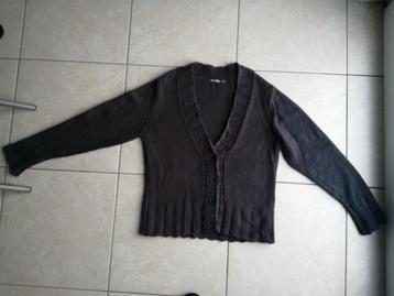 Dikke dames trui xL, Ophalen of Verzenden, Maat 46/48 (XL) of groter