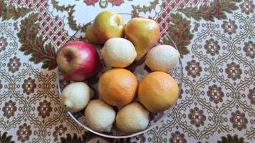Namaak fruit 1 appel, 2 peren, 2 appelsienen en 5 citroenen. beschikbaar voor biedingen