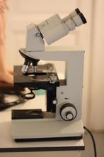 microscope médical "Laboval 4" à vendre, Ophalen