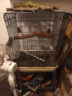 Kooi papegaai, Ophalen of Verzenden, Zo goed als nieuw