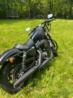 Harley-Davidson XL883N black, Motos, Motos | Harley-Davidson, Particulier