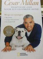 Praktische gids voor een gelukkige hond? Cesar Millan, Boeken, Dieren en Huisdieren, Honden, Ophalen of Verzenden, Zo goed als nieuw