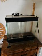 Terrarium klein, Dieren en Toebehoren, Ophalen, Zo goed als nieuw, Terrarium of Paludarium