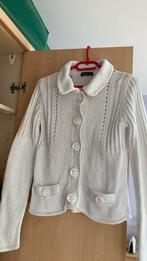 Katoenen gilet van Terre Bleue, maat 38, Kleding | Dames, Ophalen of Verzenden, Zo goed als nieuw, Maat 38/40 (M)