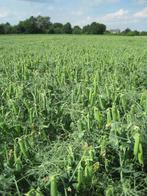 landbouwgrond huren, 1 tot 5 ha, Ophalen of Verzenden, Akkerbouwbedrijf