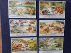 LIEBIG (175 séries de 6 cartes/chromos disponibles) 1€/p, Ophalen, Gebruikt
