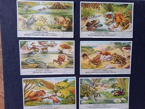 LIEBIG (175 séries de 6 cartes/chromos disponibles) 1€/p, Verzamelen, Overige Verzamelen, Gebruikt, Ophalen