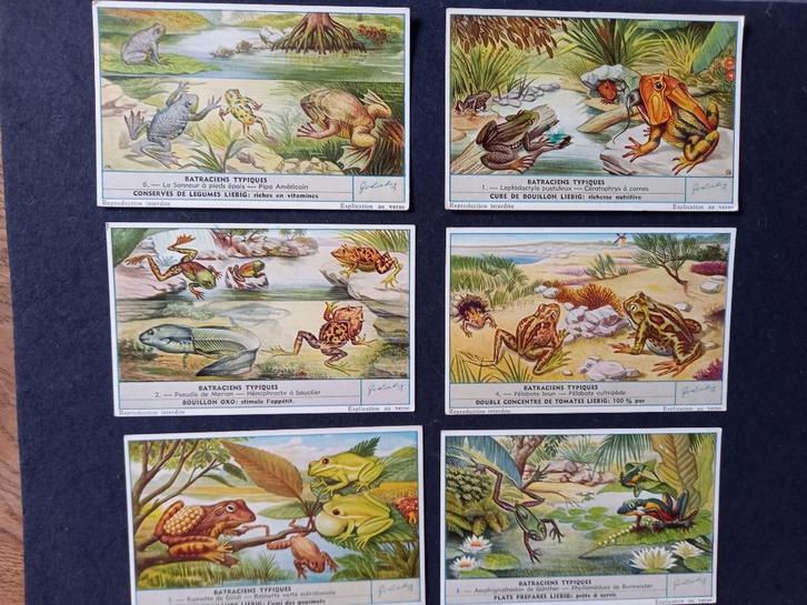 LIEBIG (175 séries de 6 cartes/chromos disponibles) 1€/p, Verzamelen, Overige Verzamelen, Gebruikt, Ophalen