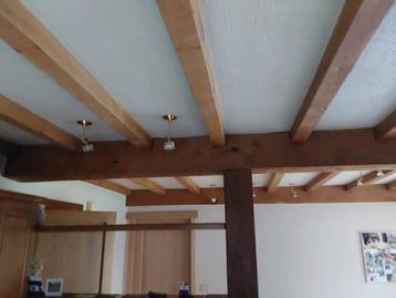 Plafond wordt verwijderd, doe een bod, Enlèvement, Utilisé