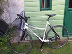 Te koop ridley tempo, Fietsen en Brommers, Gebruikt, Aluminium, 49 tot 53 cm, Dames