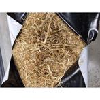 Préfané - Foin / Qualité constante / LIVRAISON GRATUITE, Animaux & Accessoires, Envoi