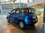 Fiat Panda HYBRID S7* URBAN PACK* PDC ACHTER* UCONNECT LIVE, Auto's, Fiat, Zwart, Panda, Blauw, Bedrijf