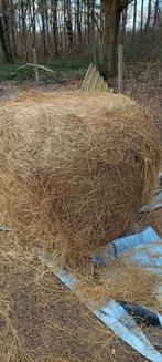 Hooi Voordroog raaigras, Dieren en Toebehoren, Dierenvoeding, Ophalen of Verzenden