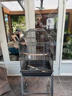 Grote vogel kooi, Dieren en Toebehoren, Ophalen