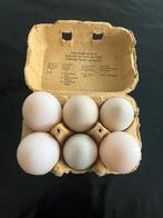 Verse eenden eieren (om te eten), Enlèvement ou Envoi