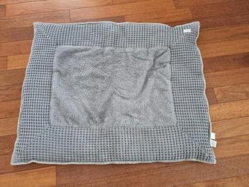 Boxkleed Koeka beschikbaar voor biedingen