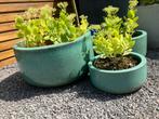 3 geglazuurde azuurblauwe bloempotten, Rond, Tuin, Zo goed als nieuw, Minder dan 40 cm