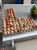 Bio eieren, Diversen, Levensmiddelen, Ophalen