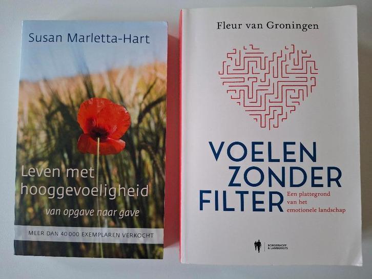 2 boeken Hooggevoeligheid - Van Groningen/Marletta-Hart, Boeken, Psychologie, Zo goed als nieuw, Ophalen of Verzenden