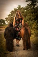 Gezocht, Gevraagd paard!, Dieren en Toebehoren, Stalling en Weidegang