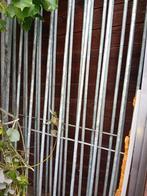 Hondenren, Dieren en Toebehoren, Ophalen of Verzenden