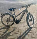 Speed pedelec - Riese & Müller, Fietsen en Brommers, Elektrische fietsen, Gebruikt, 50 km per accu of meer, 47 tot 51 cm, Ophalen