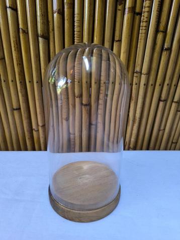 Glazen stolp/koepel met houten voet Ikea: hoogte 20cm beschikbaar voor biedingen